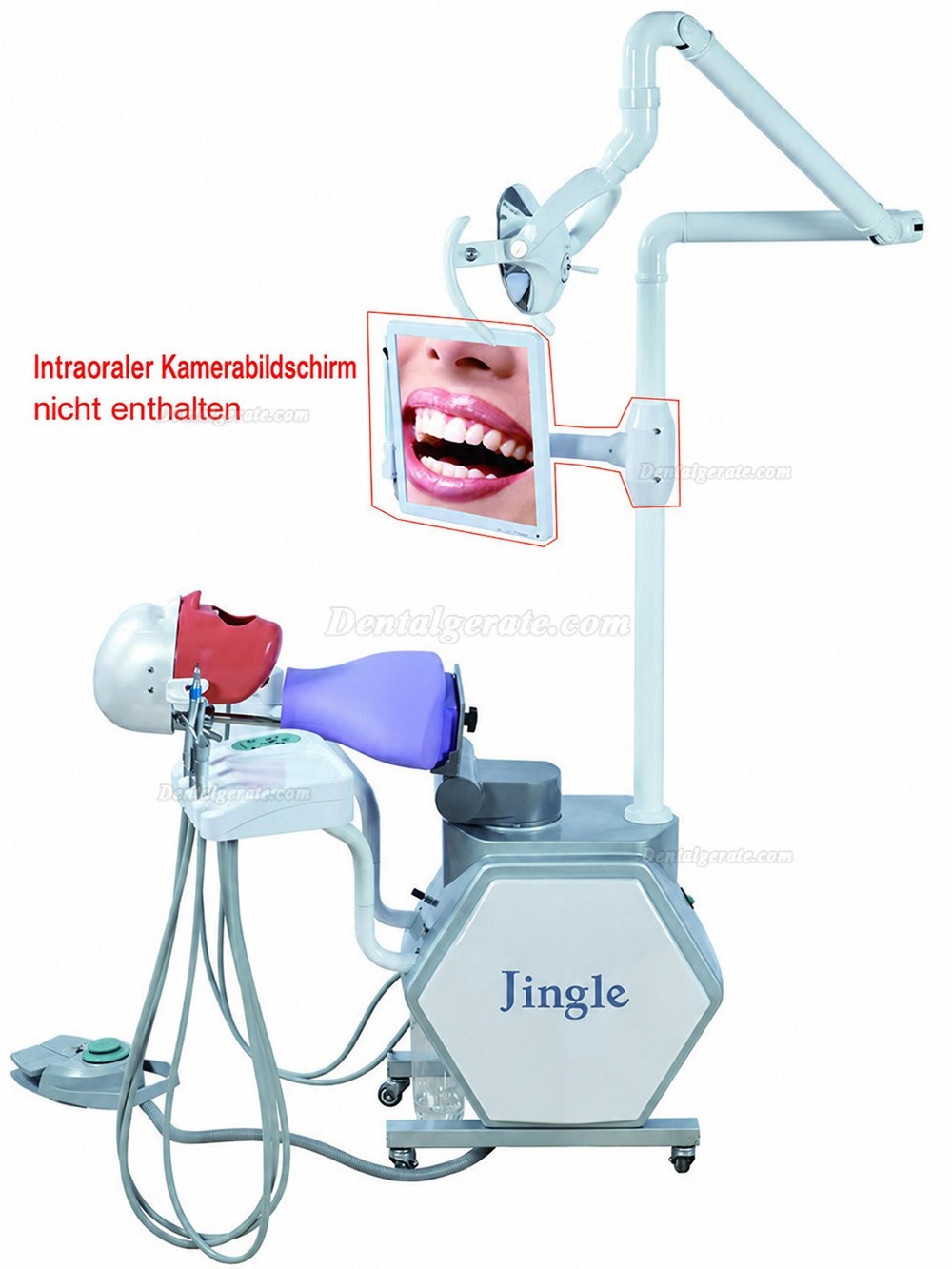 Jingle JG-A11 Phantomkopf Zahnmedizin-Simulator Dentaler Patientensimulator